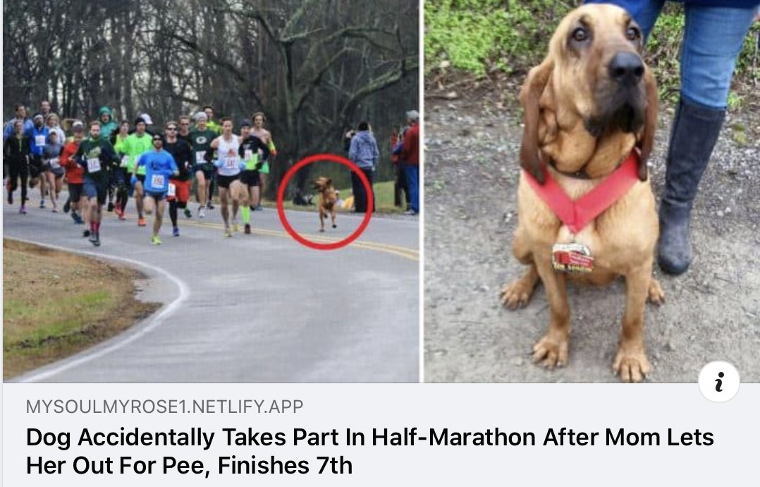 WholesomeMeme's tweet photo. https://t.co/FXqGBYFPTJ