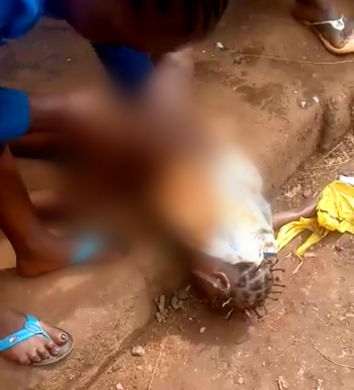MimiMefoInfo's tweet photo. The lifeless body of a little girl has been pulled out of a well in the Quartier Ngie neighborhood in #Dschang, West region. 

The body was pulled out yesterday shortly after she fell in the well while playing. 

Attempts to resuscitate her proved futile.

MMI https://t.co/bWpu97knkJ
