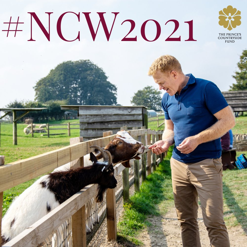 forestholidays's tweet photo. This #NationalCountrysideWeek, we are celebrating our partnership with @countrysidefund, who have supported nearly 200,000 people in rural and farming communities since 2010 across the UK.
To find out more, visit: https://t.co/Tdx2W2Cfbt https://t.co/AGTtv6XOIj