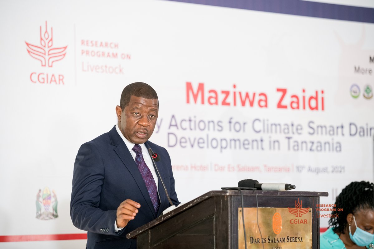 Livestock CGIAR tweet media