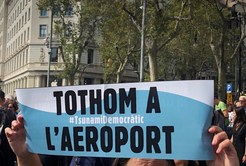 Elefant Grana tweet media