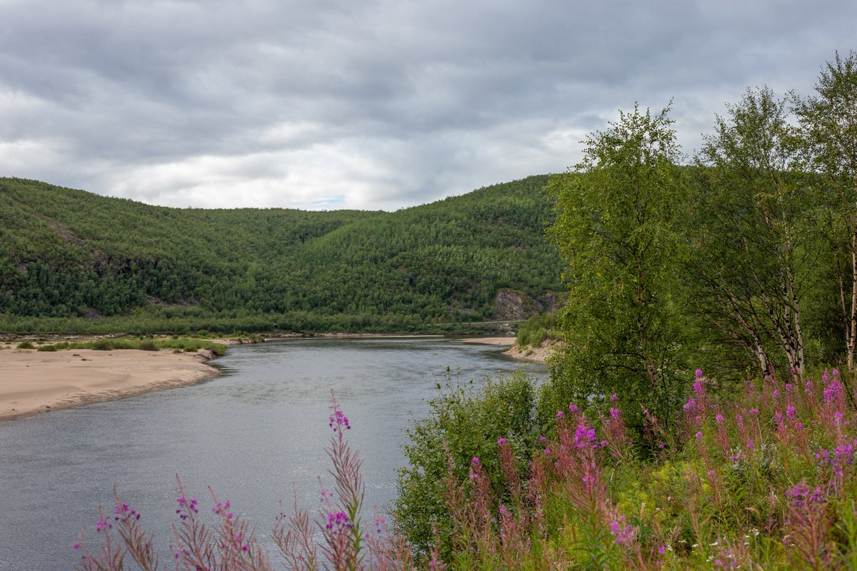 Views of the #Tenojoki ("Deatnu" in Northern Sámi) from Finland's most beautiful road. 🏞🌱

Route 970 runs between the villages of #Utsjoki &amp; #Karigasniemi and it's not hard to see why it's considered one of Finland's most scenic drives. 

 #Lapland #visitfinland