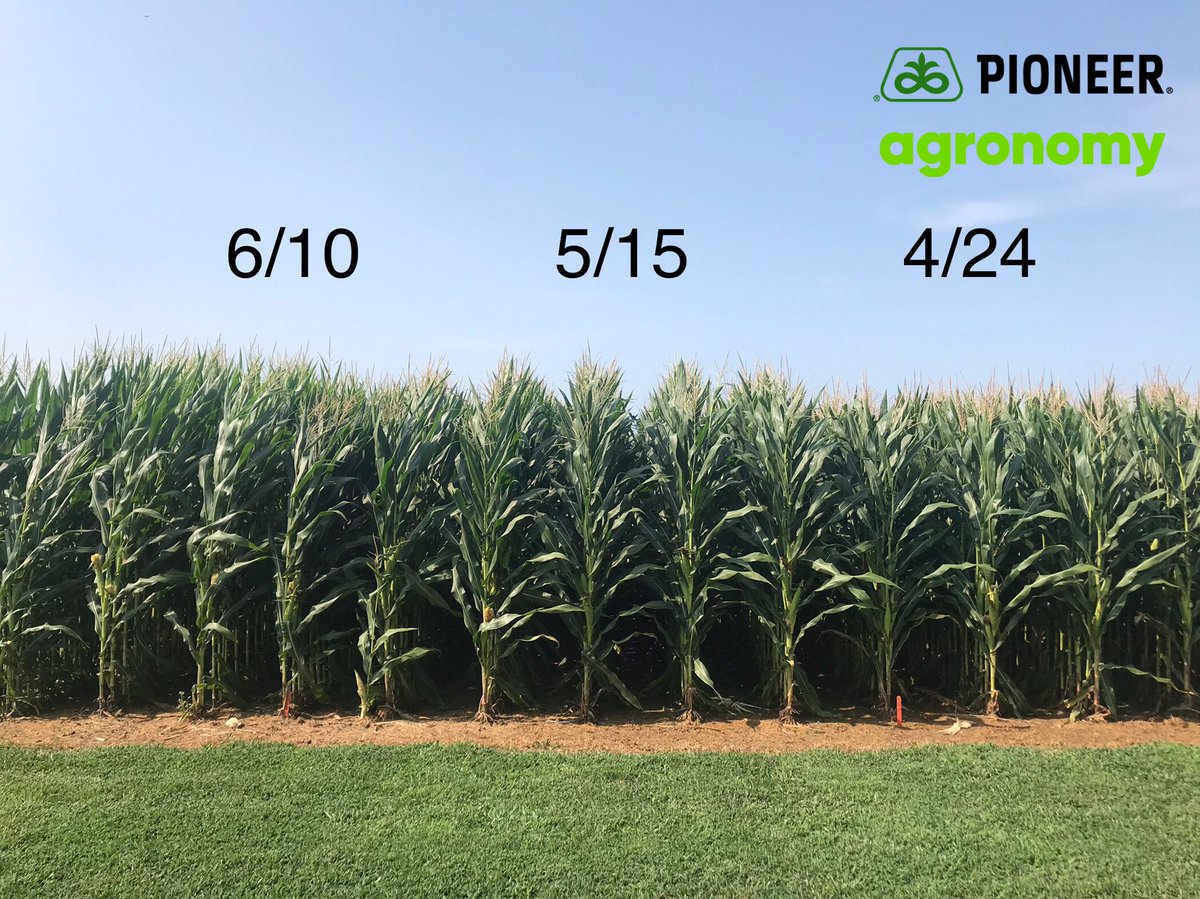 Dan Emmert tweet media