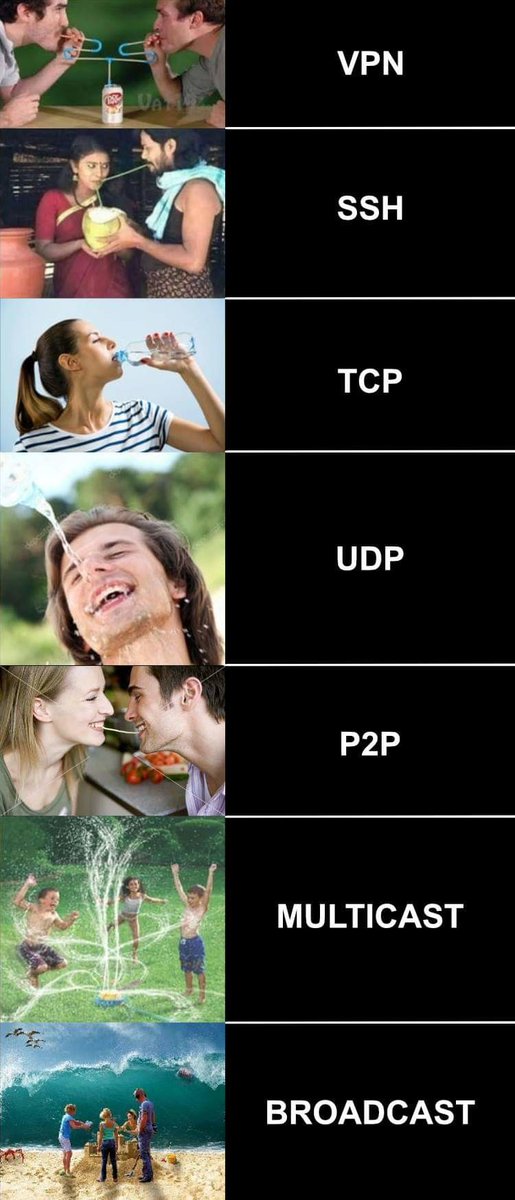 Programmer Humor tweet media