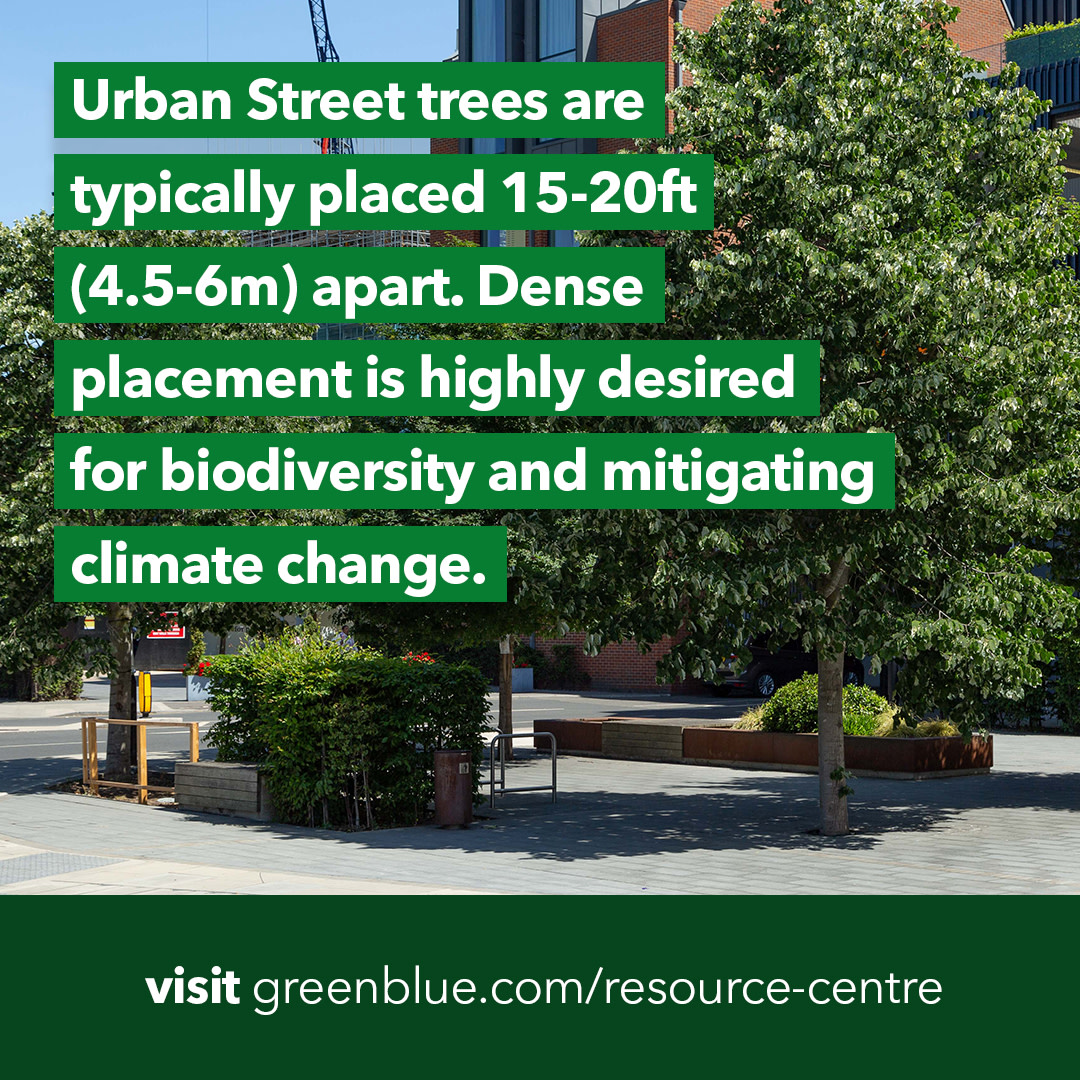 GreenBlueUrban's tweet image. Discover more on the benefits of urban tree planting and the role they play in boosting biodiversity in our urban areas - visit our resource centre today.

Discover more: bit.ly/3fOSbeo

#TreeTuesday #UrbanTreePlanting