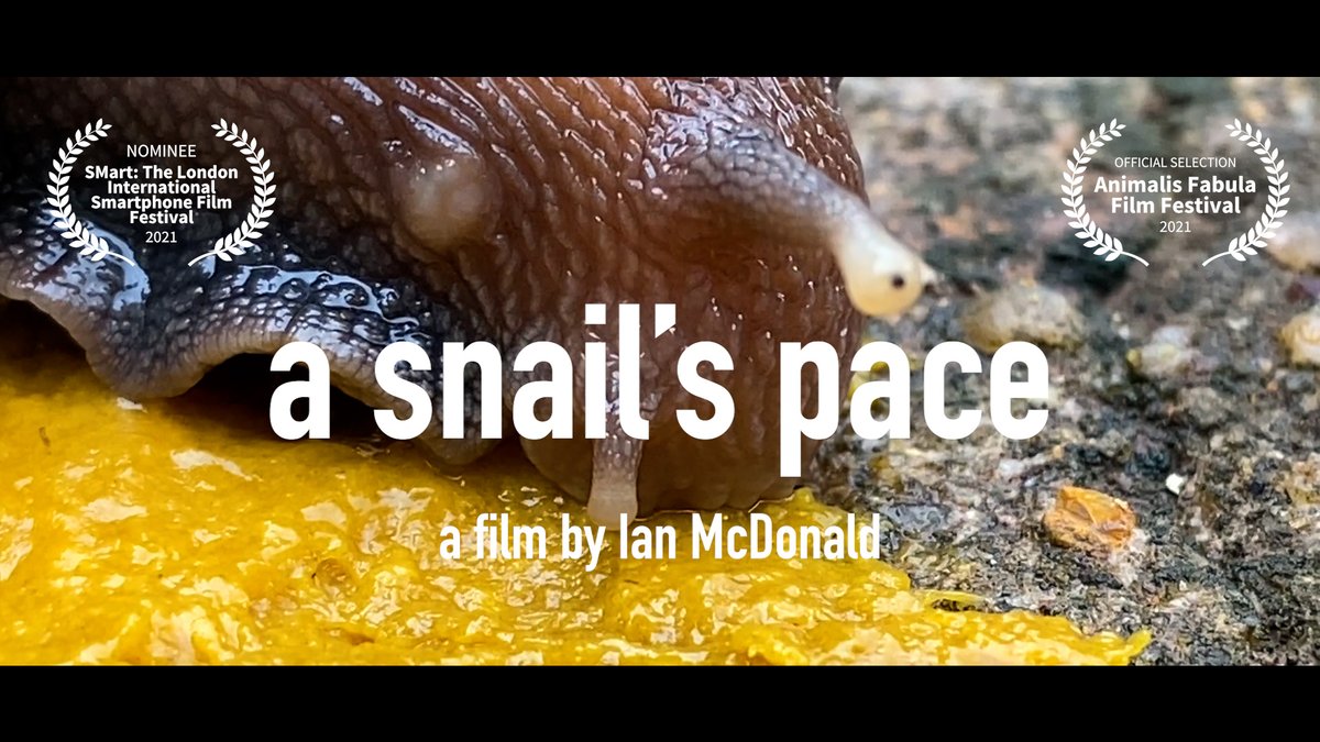 Ian McDonald tweet media