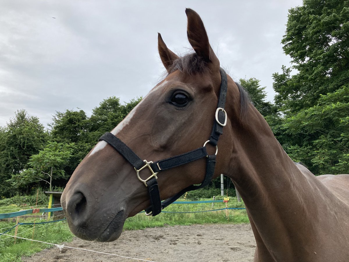 ララフォーナちゃん
お休みを楽しんでね～♪
(⑅•ᴗ•⑅)◜..°♡ 