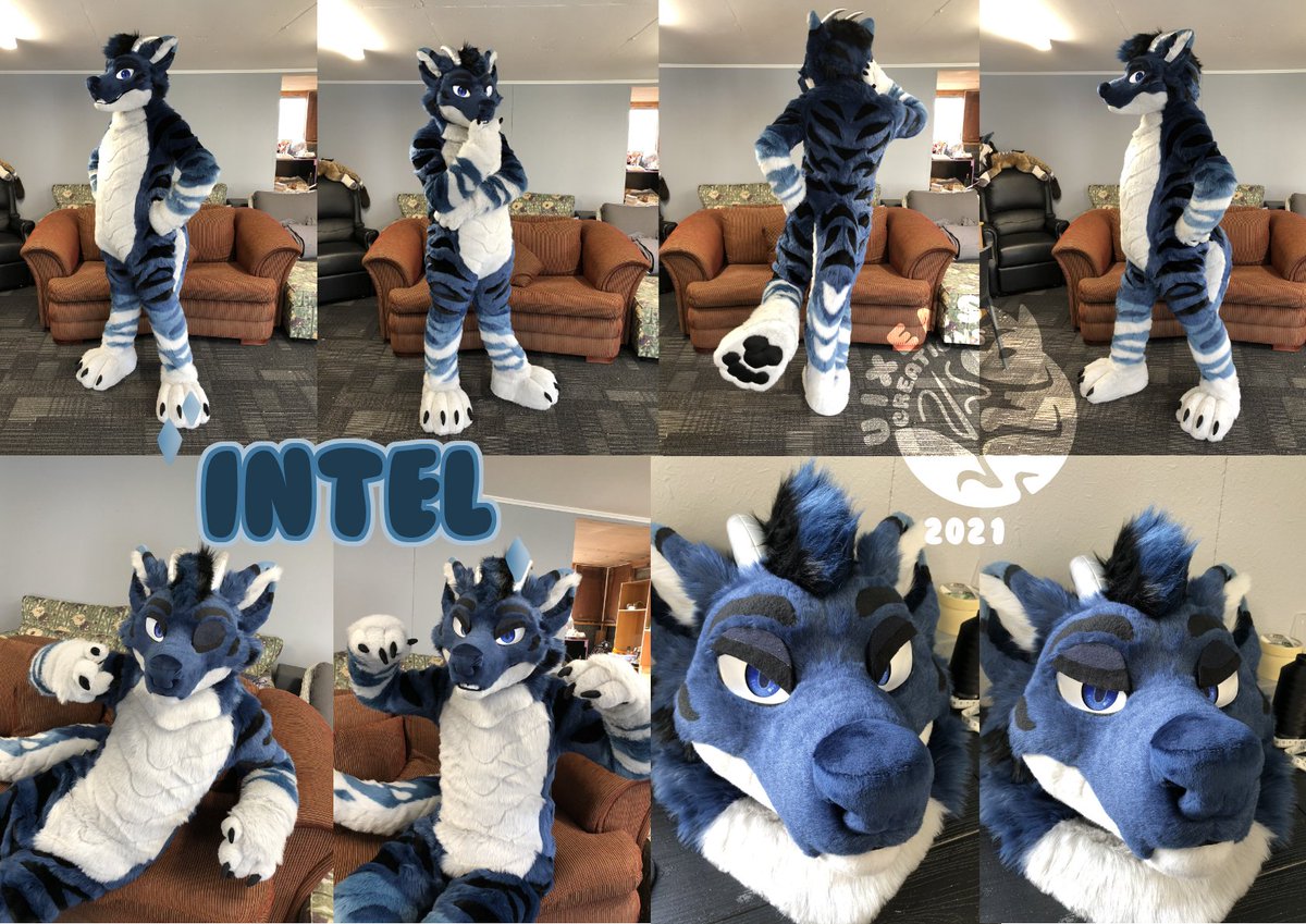 Its about time I share my recent completed suit, got the chance to make this handsome blue wagon. I'm super pleased with him, and how I got the blue to blend nicely. My fav part I worked on was his scales (belly, tail and jaw), also his cute shiny horns.
<a href="/Intelwolfdragon/">🏳️‍🌈Intel🏳️‍🌈</a> 💖