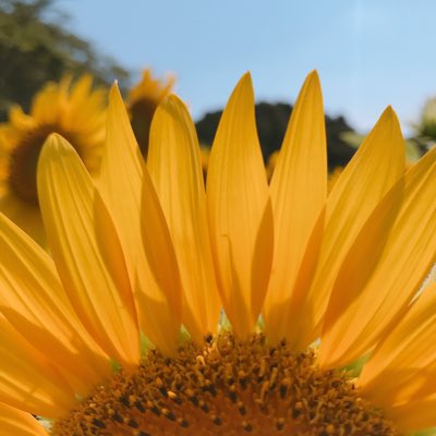 ZG_typeC tweet media