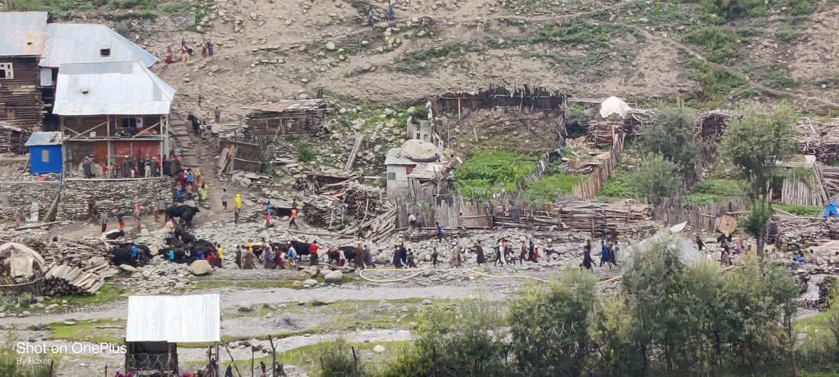 gijojoseph1982's tweet photo. #NayaKashmir #SofieKashmir Villagers overjoyed on return of cattle’s who crossed over to PoK few days back• Expression of Joy &amp; Happiness #ArmyAwam together always @Snow61078072 @RajuBis56851755 @AajazRaja @RadioChinar @rdxsrq https://t.co/i52f5EeirP