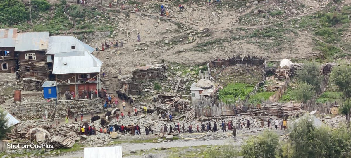 gijojoseph1982's tweet photo. #NayaKashmir #SofieKashmir Villagers overjoyed on return of cattle’s who crossed over to PoK few days back• Expression of Joy &amp; Happiness #ArmyAwam together always @Snow61078072 @RajuBis56851755 @AajazRaja @RadioChinar @rdxsrq https://t.co/i52f5EeirP