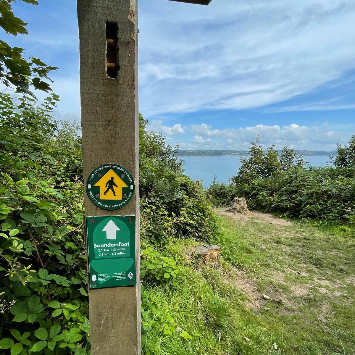 A morning walk along the #pembrokeshirecoastalpath in the🌞 with breakfast from Pembrokeshire Grazing Boxes…I can’t think of something better to do 🤔 Can you? 
#pembrokeshiregrazingboxes #pembrokeshire #grazing #rambling #saundersfoot <a href="/RamblersCymru/">Ramblers Cymru 🏴󠁧󠁢󠁷󠁬󠁳󠁿</a> <a href="/StormHour/">#StormHour</a> <a href="/ThePhotoHour/">#ThePhotoHour</a>