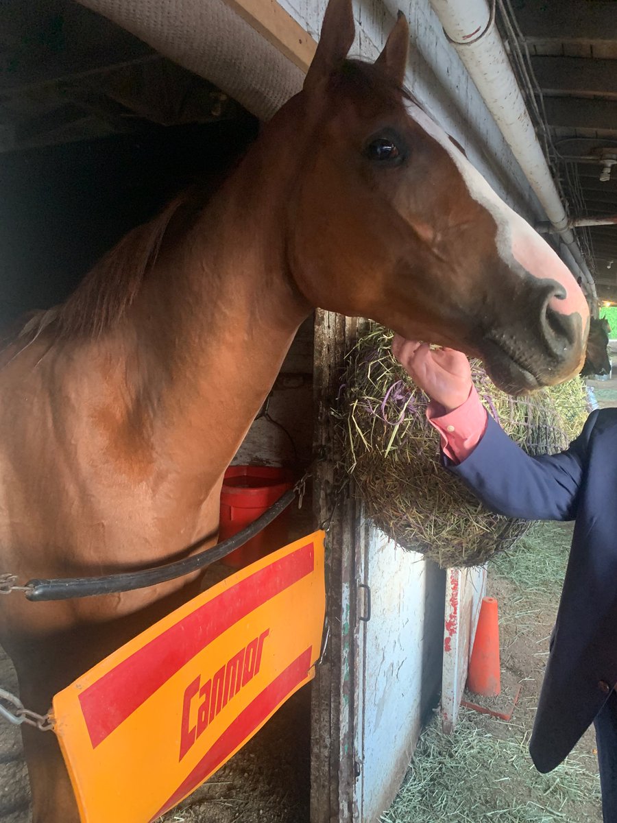 Very happy with Carolina Gent’s effort tonight, he competed well, looked good and was in good spirit (and hungry as usual) post race! Having Barbara with us tonight was special. <a href="/hastingsraces/">Hastings Racecourse</a> #welldoneRichie