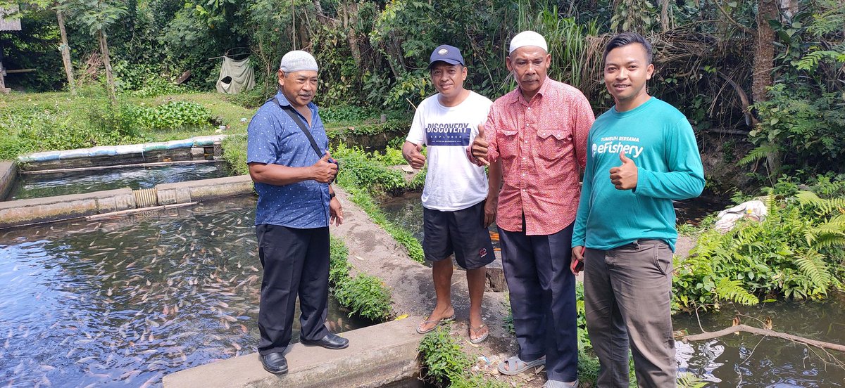 SBudi21's tweet photo. * Mbangun kmitraan dg swasta*Selasa(09/08), Setiobudi, Luhkan LomTim, di Pokdakan Purnama Ds Msbagik Utr Baru,dampingi kerjasama dg efishery dlm pbiayaan pakan,pngajuan 25ton, 
#GiatLuhkanSatminkalGONDOL
#LomTim
@brsdm_kp
@puslatluhkp
@lapregiwati
@RISET_GONDOL
@Luhkan_Lotim https://t.co/YntVnAAORp