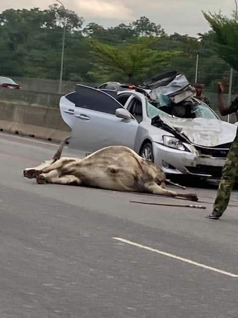 Ed_Brazz's tweet photo. TRAGEDY AS ONE "ELDER STATESMEN"
IS KILLED CROSSING THE BUSY ABUJA EXPRESSWAY. Chaiiii, #ZOooo https://t.co/gA3oI5lMNr