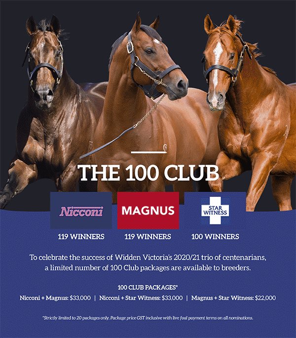 widdenstud's tweet photo. To celebrate Widden Victoria’s trio of centenarians, we are offering a limited number of 1️⃣0️⃣0️⃣ Club packages! *Limited to 20 breeders, send 2 mares and receive a package deal on your service fee. Contact one of our sales team to discuss a 100 Club package #widdenvictoria https://t.co/jaE7s9Eud0