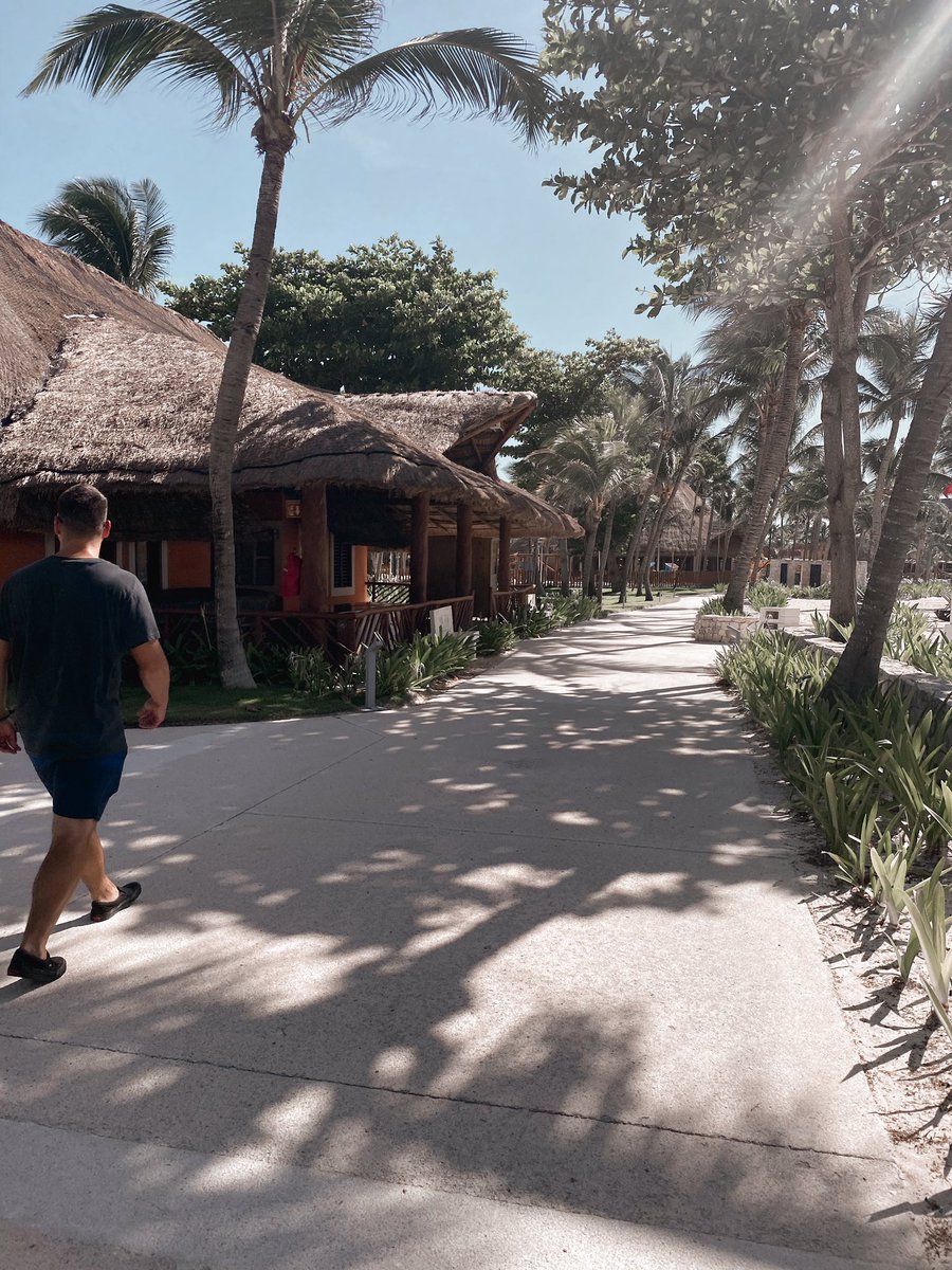 msnbunn's tweet photo. an amazing week in the mayan riveria celebrating my graduation ☀️now back to my graduate diploma! https://t.co/UgwVKYEmNe