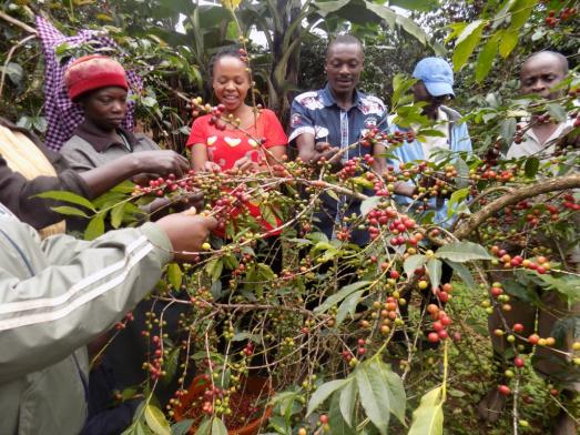 nucafeug's tweet photo. Kind support smallholder #Coffee farmers through @NUCAFE95 &amp; @Kiva to stabilize cash flows even while buyers have stopped paying in advance due to COVID-19. Click here: https://t.co/6GqHdWFAiO

#supportsmallbusiness #fundraising #FinancialFreedom #Farmers # https://t.co/hpWzsUhnul