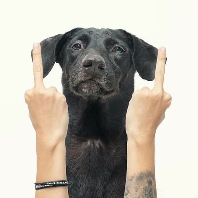 call4maxmax's tweet image. #NewProfilePic