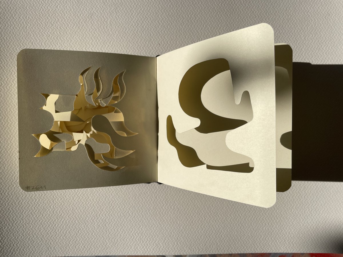 ilan_katin's tweet photo. various phenomena loosely bound through the #dailycut . https://t.co/Z7QreSGdGl