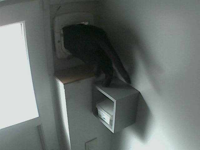 Pépito is out (08:42:34)