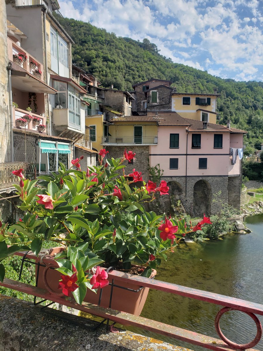 KumaHiguma1's tweet photo. Ligurie, à qq km de la frontière française https://t.co/ctL0ayfbqW