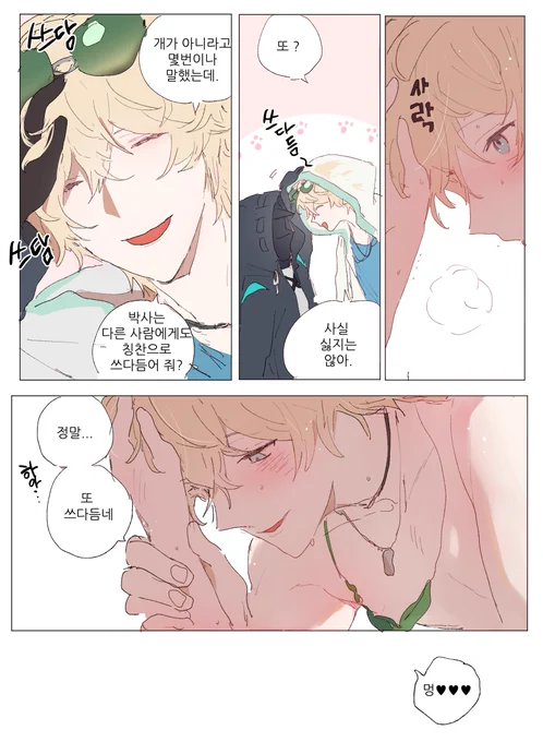 데킬독타 