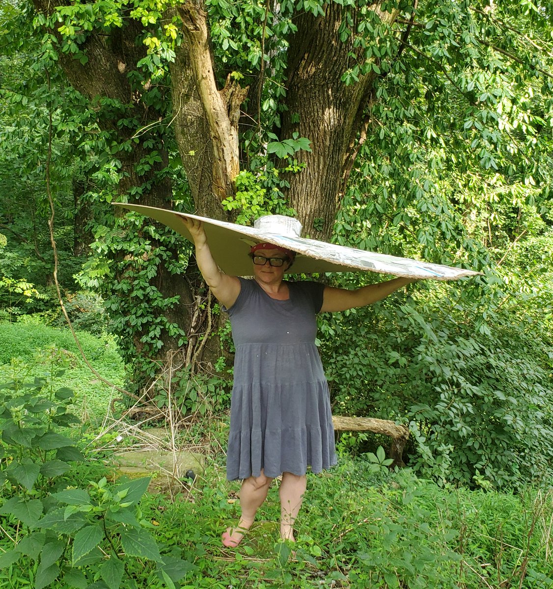 GottaBeCrazy2's tweet photo. #item160 Climate change has necessitated a wardrobe change. Using recyclable materials, create an impressive sun hat. Bigger is better when it comes to sun protection, so make it massive. Huge. #TeamGottaBeCrazy #GISH #GISH2021 https://t.co/877aCD1KMd