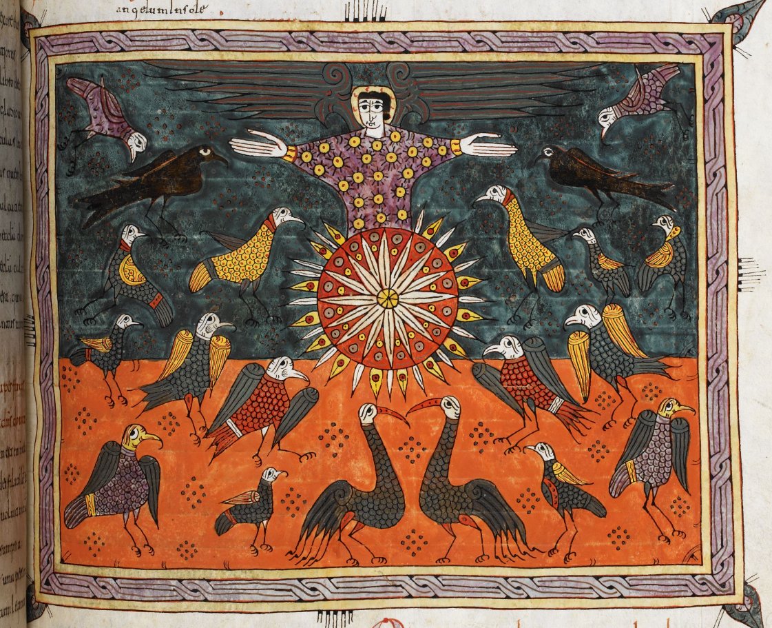 OEWordhord's tweet photo. #OldEnglish #WOTD: bridd, m.n: young bird, chick. (BRID / ˈbrɪd) Image: Silos Apocalypse; N Spain, 1091-1109; @BLMedieval Add MS 11695, f. 197r. https://t.co/0IzDQ6Voqi