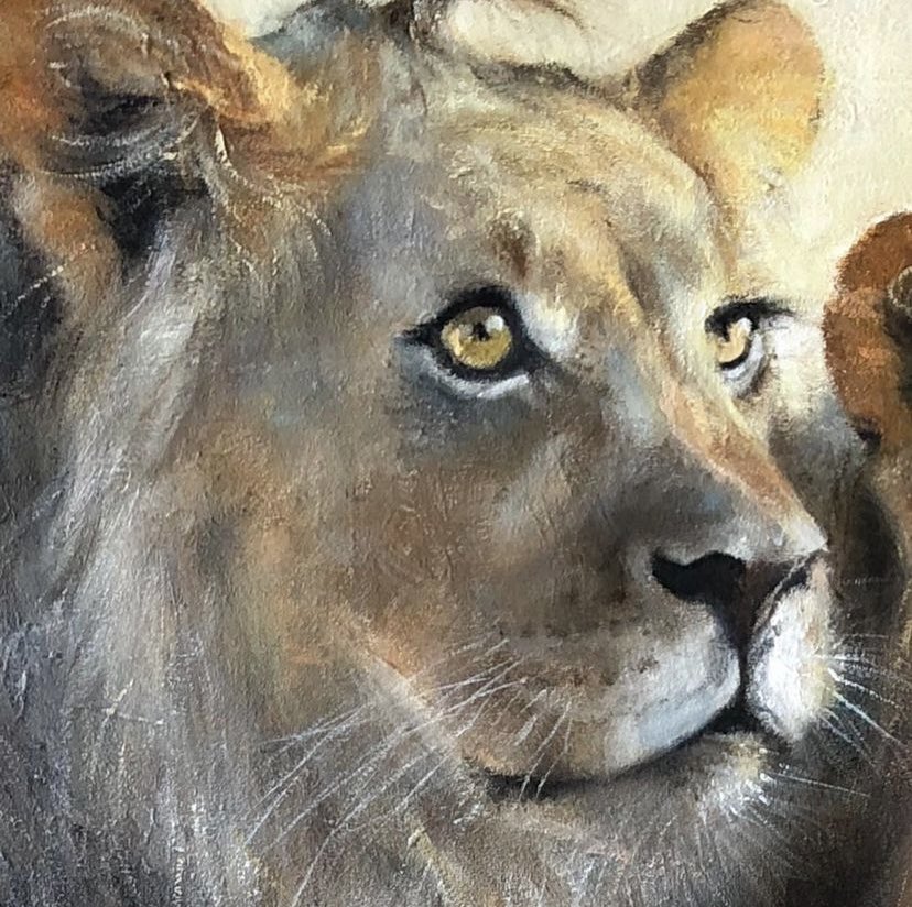 It’s #worldlionday here’s a sneak preview of another work in progress and some close ups of my other recent lion work. I think you know I love lions #workinprogress #lion #bigcat #lionpainting #sleepinglion #oneeyeopen #wildlifeart #hampshireart