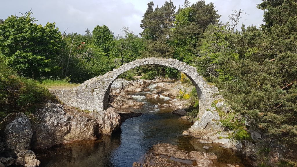 Scenic Rail Britain (@scenicrailbrit) on Twitter photo Carrbridge Station is close to the historic Old Packhorse Bridge & also home to the <a href="/LandmarkParkUK/">Landmark Forest Adventure Park</a>, a forest activity park that's perfect for thrill-seeking families. See more ideas for family #DaysOutByRail here: scenicrailbritain.com/familydaysout cc: <a href="/hmlcrp/">HighlandMainLineCRP</a> <a href="/ScotRail/">ScotRail</a> <a href="/Carrbridge/">Carrbridge</a> Carrbridge Station is close to the historic Old Packhorse Bridge & also home to the <a href="/LandmarkParkUK/">Landmark Forest Adventure Park</a>, a forest activity park that's perfect for thrill-seeking families. See more ideas for family #DaysOutByRail here: scenicrailbritain.com/familydaysout cc: <a href="/hmlcrp/">HighlandMainLineCRP</a> <a href="/ScotRail/">ScotRail</a> <a href="/Carrbridge/">Carrbridge</a>