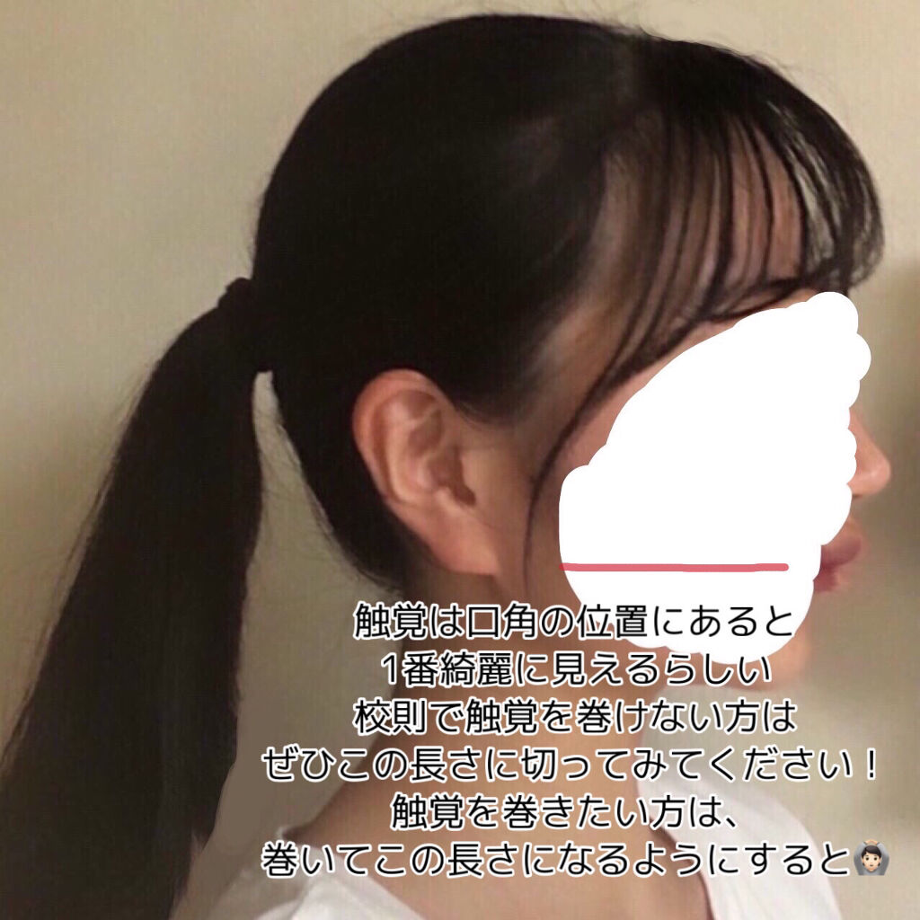 ケープ公式 Capejp Twitter