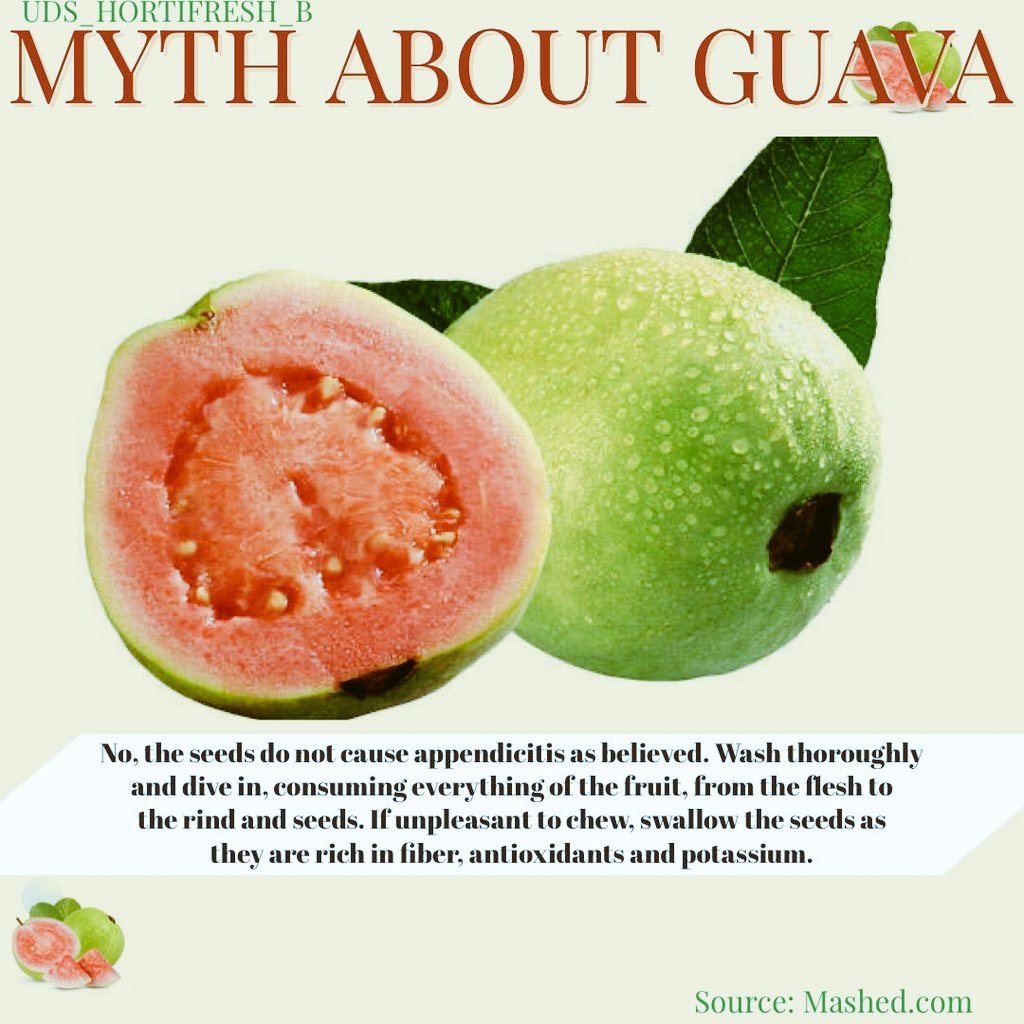 UDSHortifreshB's tweet photo. Where you also told that guava will grow in your stomach if you do take the seeds?

@WHO The seeds of Guava doesn't cause appendicitis!
#Hortifreshsmc2021 ,#IYFV2021,#myth https://t.co/Kay2xmZU7d