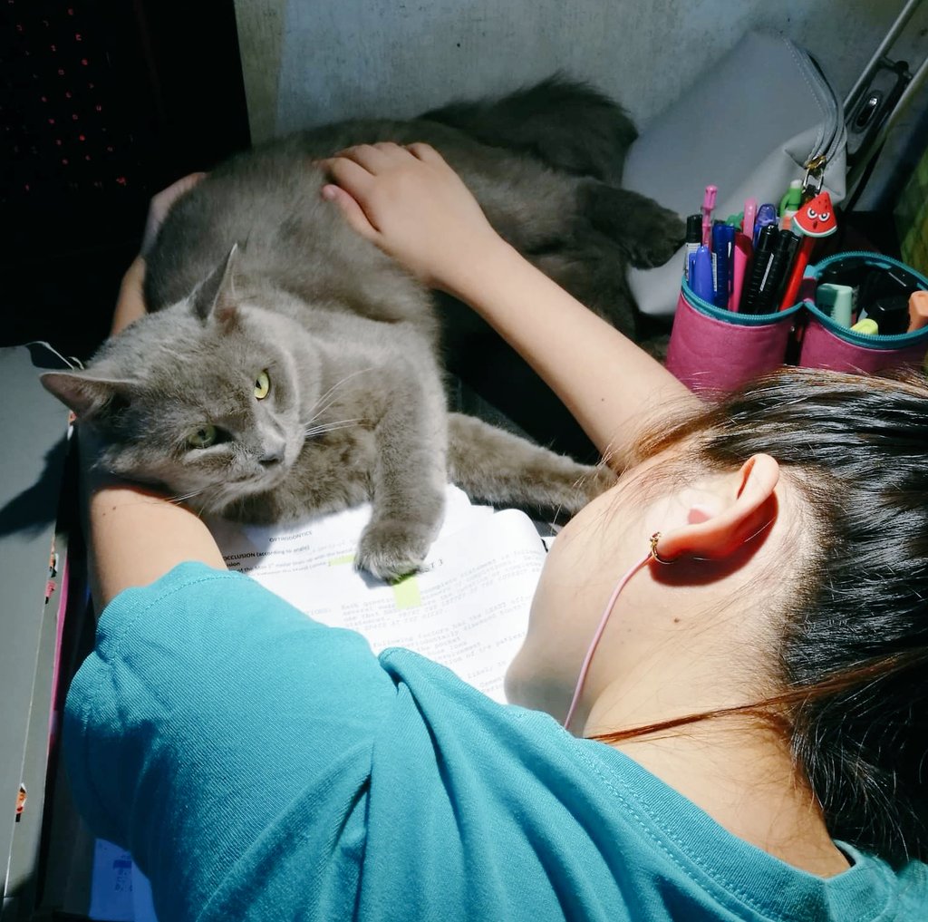_jannabeee's tweet photo. Furever in my heart 💔 thank you sumsum https://t.co/azOYS7icSG