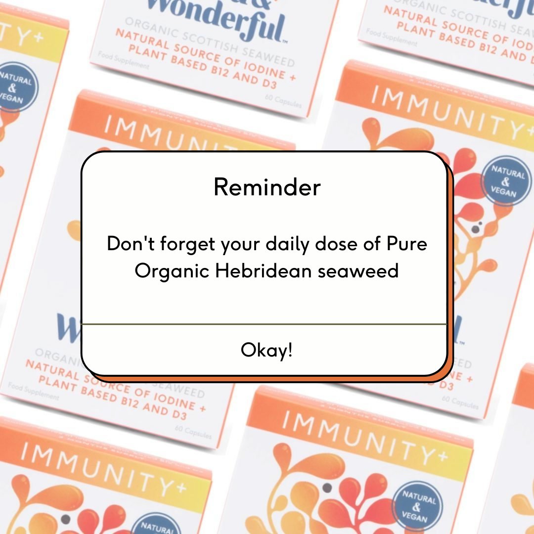 Start your day with Doctor Seaweed’s Weed &amp; Wonderful Immunity+ Capsules from only 35p per capsule!⁣⁠🧡 ⁠
⁠
Visit our website for more information➡️ bit.ly/doctorseaweeds…⁠

#seaweed #doctorseaweed