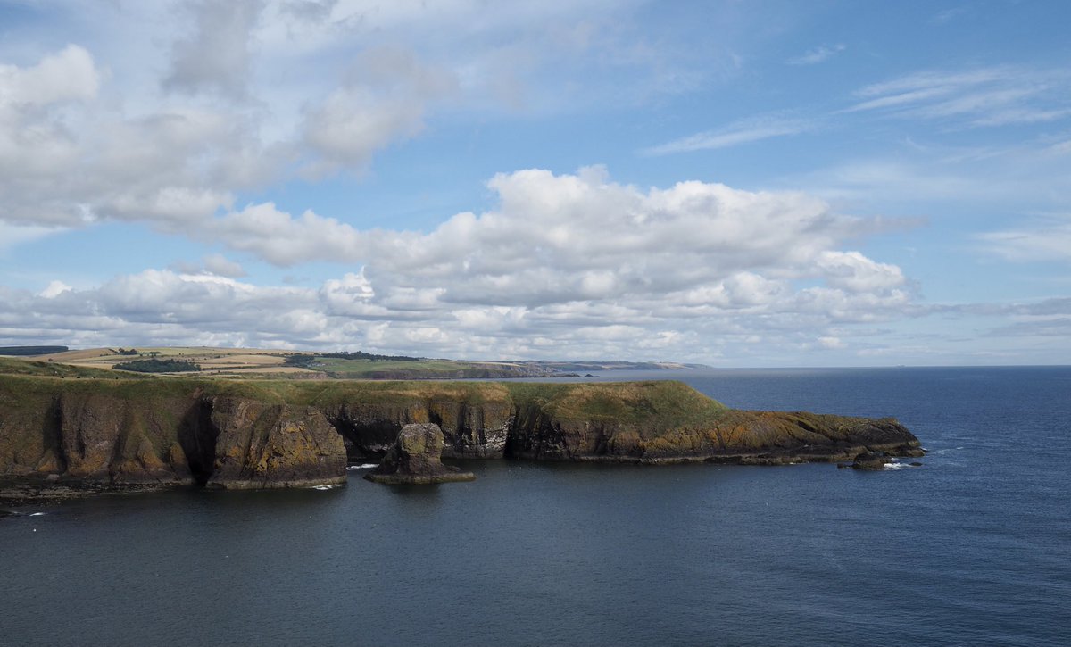 Joe Pierce tweet media