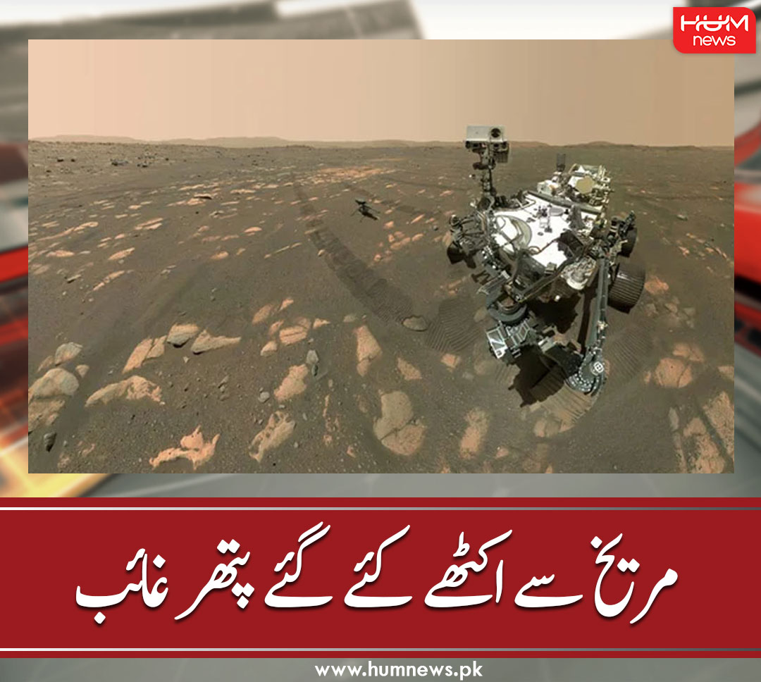 humnewspakistan's tweet image. مریخ سے اکٹھے کئے گئے پتھر غائب
تفصیل پڑھیں: humnews.pk/latest/339099/
۔۔۔۔۔۔۔۔۔۔۔۔۔۔۔۔۔۔۔۔۔۔۔۔۔۔۔۔۔۔۔۔
#HumNews #Nasa #PerseveranceMars #RockSample