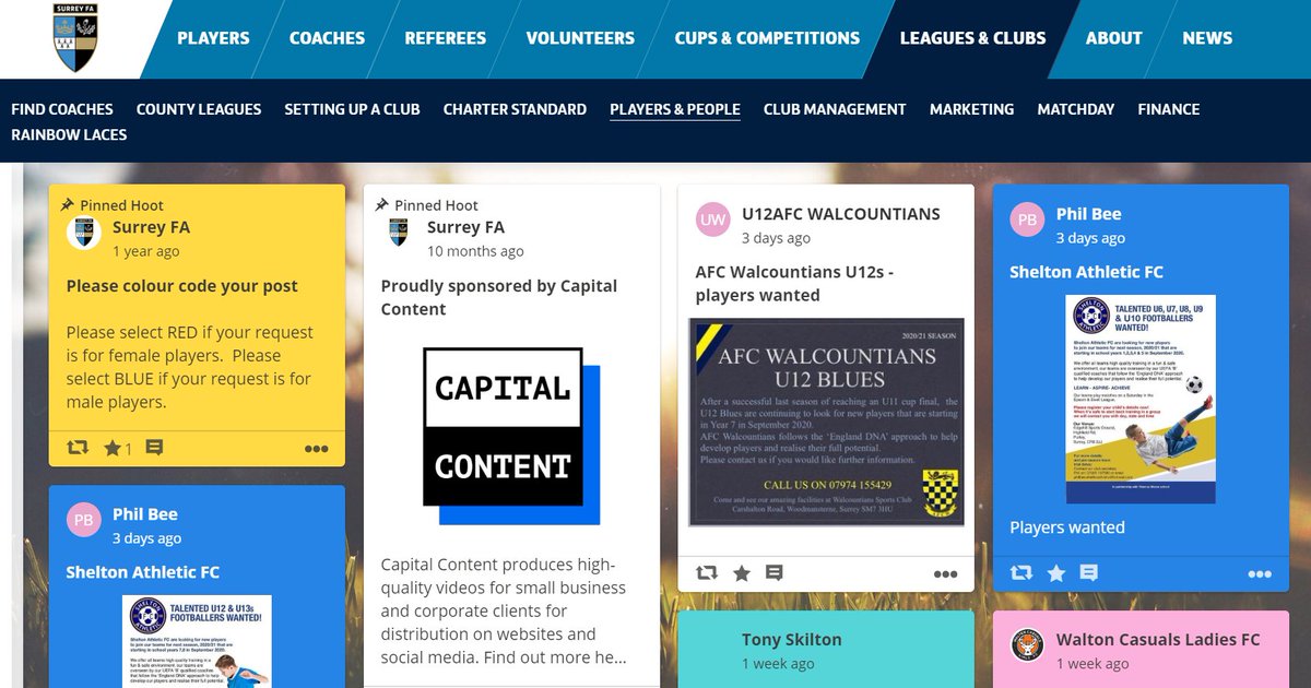 surreyfa's tweet image. Join our @CapCo_Tweets Player Noticeboard today! 📌

Post the playing opportunities available at your club on our website to find new players ahead of the 2021/22 season!

Join for free here 👉 bit.ly/sfanotice

#ThisIsSurreyFootball