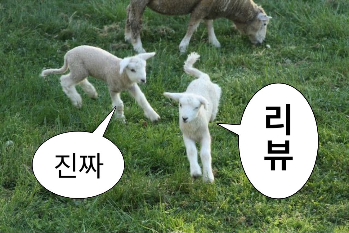 jin_jjja's tweet photo. https://t.co/trm4wu9HSb