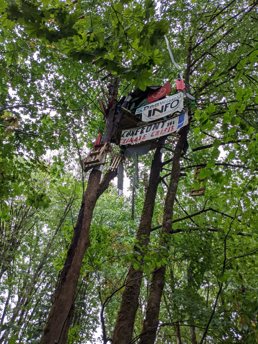 dberezhn's tweet photo. This weekend I had the opportunity to join a walking tour hosted by @PPSTMX1 to visit the tree-sit, see damage done by TMX pipeline construction &amp; speak to some dedicated community organizers. Tour runs every Sat, I highly recommend: https://t.co/td2BHinlOo https://t.co/Qb05cbXojO