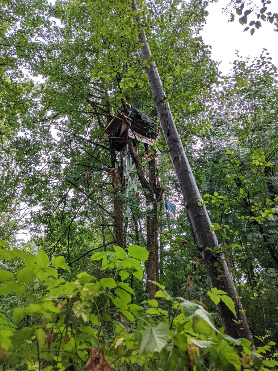 dberezhn's tweet photo. This weekend I had the opportunity to join a walking tour hosted by @PPSTMX1 to visit the tree-sit, see damage done by TMX pipeline construction &amp; speak to some dedicated community organizers. Tour runs every Sat, I highly recommend: https://t.co/td2BHinlOo https://t.co/Qb05cbXojO