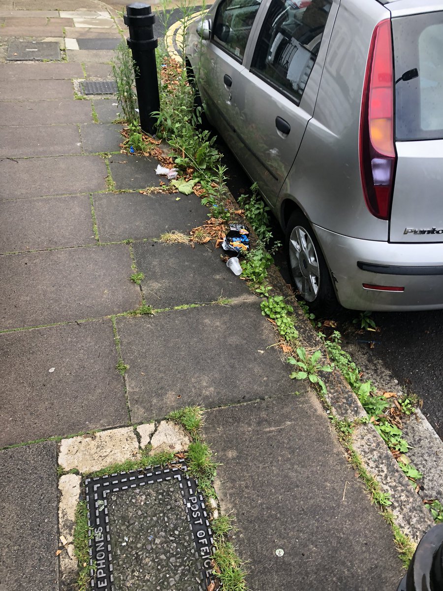 GrahamHamps's tweet photo. @hackneycouncil #hackneycouncil The bloody streets around here are a mess. Do something about the bloody weeds. You clean other streets. #rodingroad the bottom of the road. Disgraceful https://t.co/btBLH3mxhz