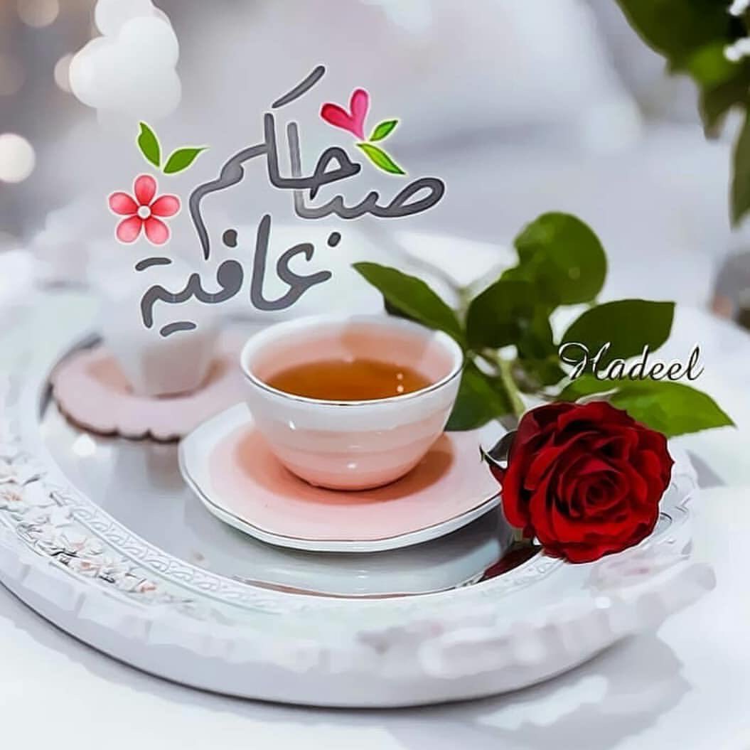zainroos's tweet photo. @ugciaaxsbh3ARKo وانت بالف خير يارب 🤲🏻🌹 https://t.co/Lllfqfa8yQ