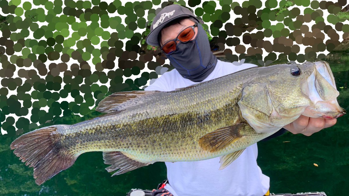 上田バス釣り (@bass_get_hyogo) / Posts / X