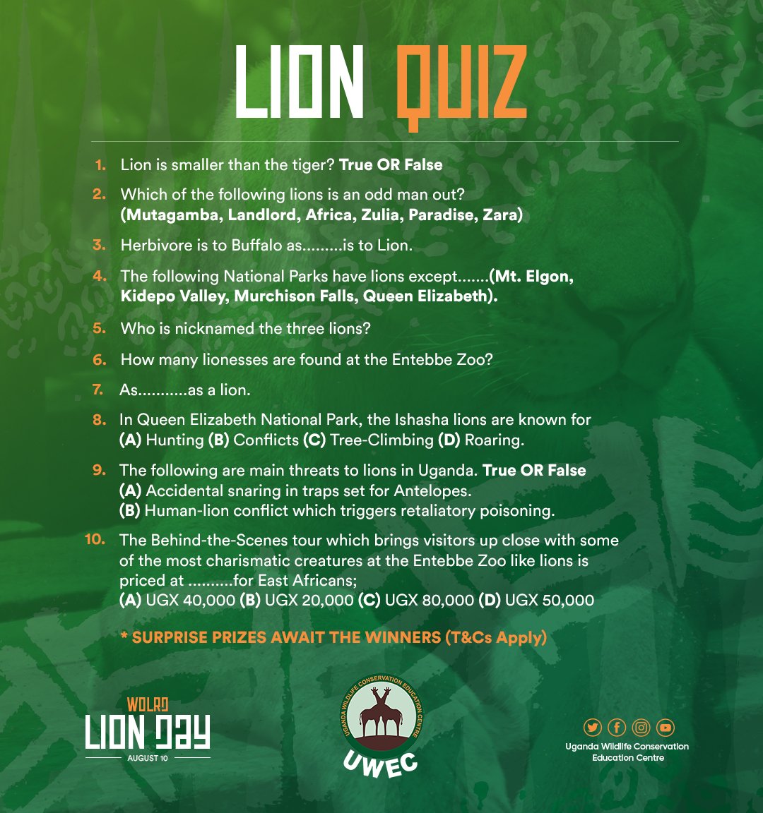 UWEC_EntebbeZoo's tweet photo. Here is your 🦁 Challenge as we celebrate #Lions on #WorldLionDay2021 . Lots of amazing prizes and 🎁. Winners will be announced at 1Pm[Today]. https://t.co/0w1i6Y6FQT