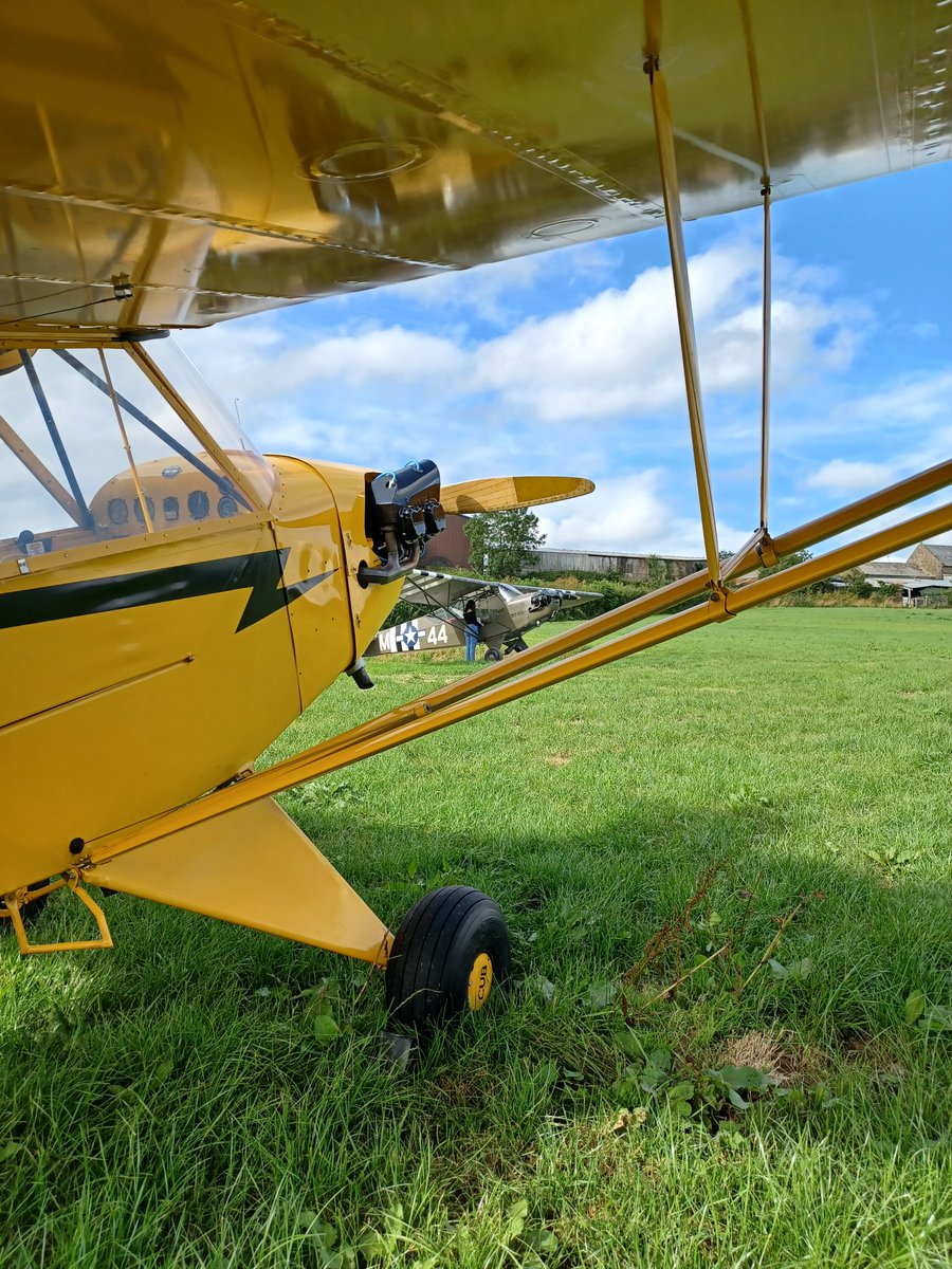 Ellie Carter tweet media