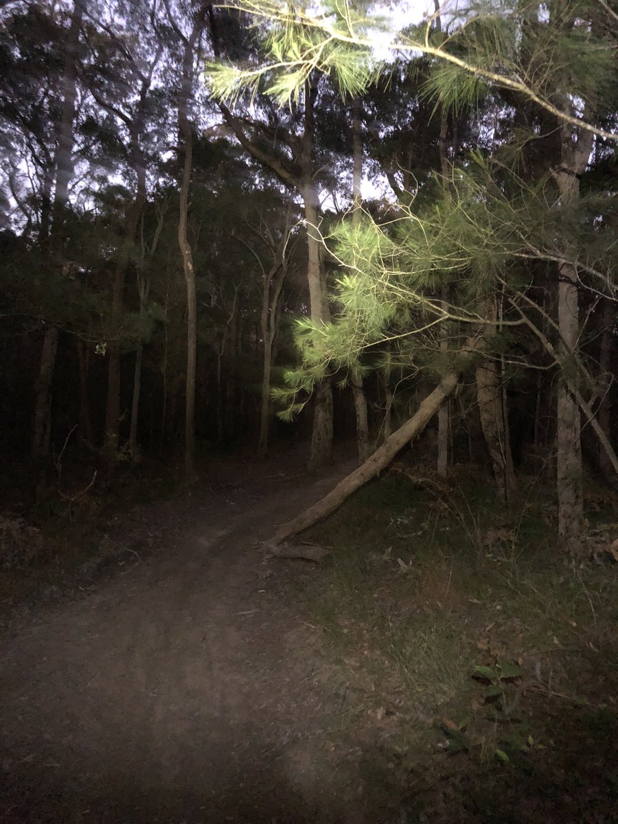 newietraveller's tweet photo. Enjoyed a night hike in beautiful bushland at Warners Bay along Great North Walk
Great way to bet the Lockdown Blues!
#MentalHealthMatters #NewyLockDown #hiking #walking #trails #bushland #outdoors #night #trails https://t.co/pszbXIJyhj