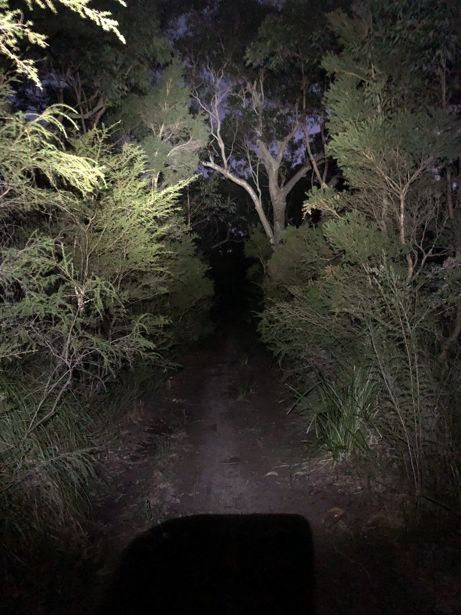 newietraveller's tweet photo. Enjoyed a night hike in beautiful bushland at Warners Bay along Great North Walk
Great way to bet the Lockdown Blues!
#MentalHealthMatters #NewyLockDown #hiking #walking #trails #bushland #outdoors #night #trails https://t.co/pszbXIJyhj