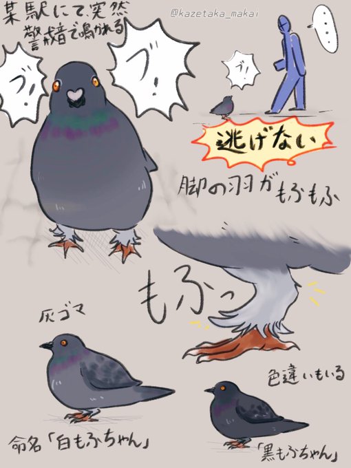 目の前にのtwitterイラスト検索結果