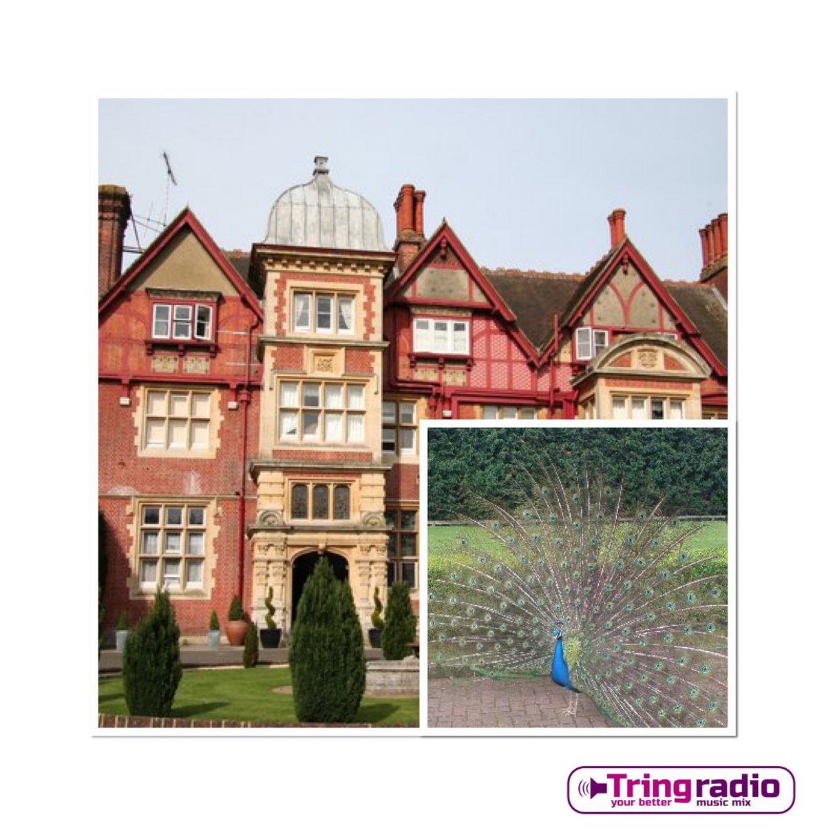 Join us at noon today on @TringRadio to hear our brilliant interview with Sheena from <a href="/PendleyManor/">Pendley Manor Hotel</a>! #keepitlocal #radiointerview @EverythinTring <a href="/JohnFord_Tring/">John Ford</a> <a href="/TringUK/">Tring Hertfordshire</a> <a href="/tringhour/">Tringhour</a> <a href="/TringTogether/">Tring Together</a> @SeanTringRadio <a href="/Fuller_42/">Tina Fuller</a> <a href="/simonellson/">Simon Ellson</a> <a href="/TringRugby/">Huel Tring Rugby</a> <a href="/TringBrewery/">Brown Beard Jared</a> <a href="/TringWinery/">Tring Winery</a>